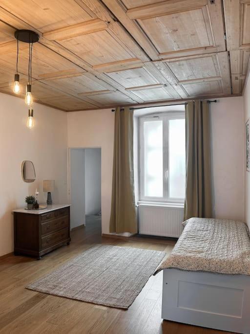 סברן Hypercentre 80M2, A Deux Pas Du Chateau Des Rohan מראה חיצוני תמונה