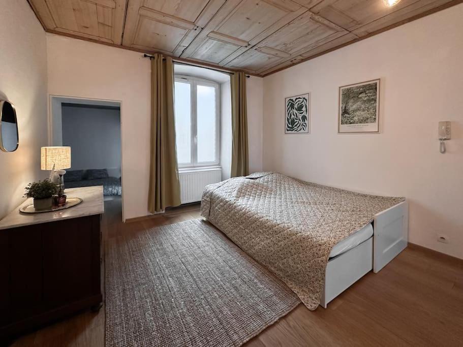 סברן Hypercentre 80M2, A Deux Pas Du Chateau Des Rohan מראה חיצוני תמונה